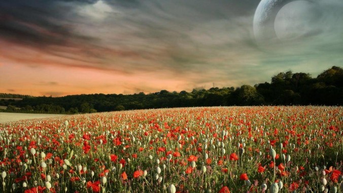 如何评价网传鸿蒙 PC 成功裸机启动 Windows ARM？